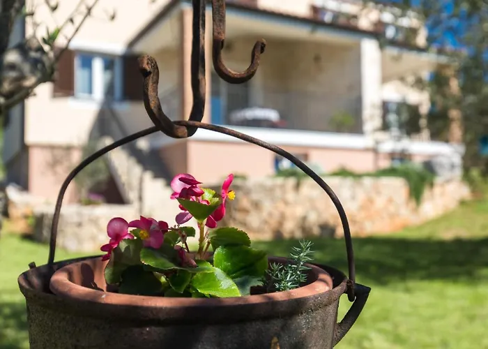 Poduniz 别墅 普纳特