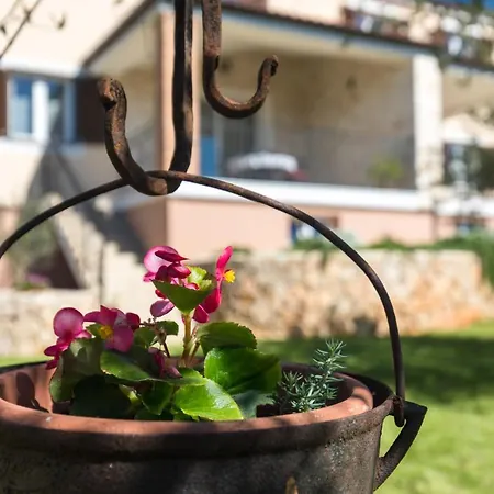 Poduniz Vila Punat